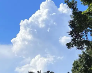 新乡天气预报,新乡7天天气预报,新乡15天天气预报,新乡天气查询